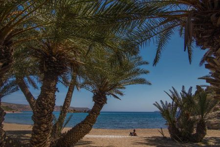 Vai Palm Forest, Toplou Monastery & Palekastro – Crete’s Exotic East